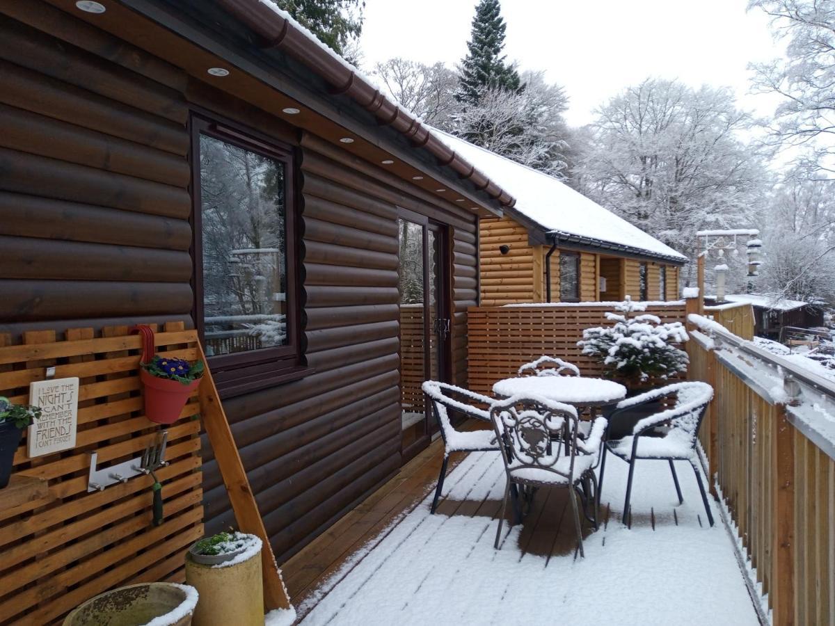 Charming Lodge Cosy Comfortable Ideal Location Blairgowrie and Rattray Exteriér fotografie